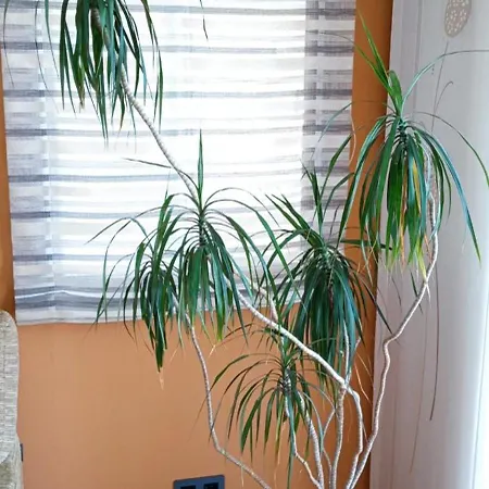 Ensan Ciprian Con Vistas Al Mar