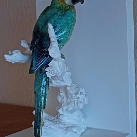 Ensan Ciprian Con Vistas Al Mar *