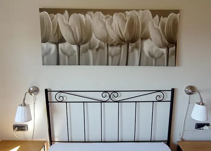 Ensan Ciprian Con Vistas Al Mar Cervo